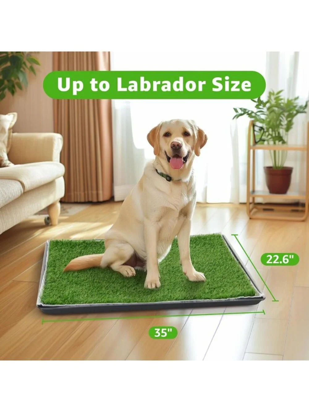 Indoor Dog Grass Pad with Tray | Puppy Potty Training, Quick-Absorbent & Easy